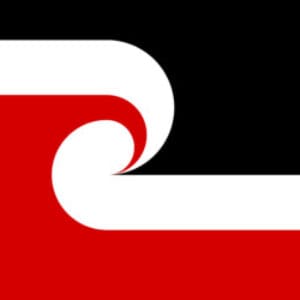 Group logo of Maori Business